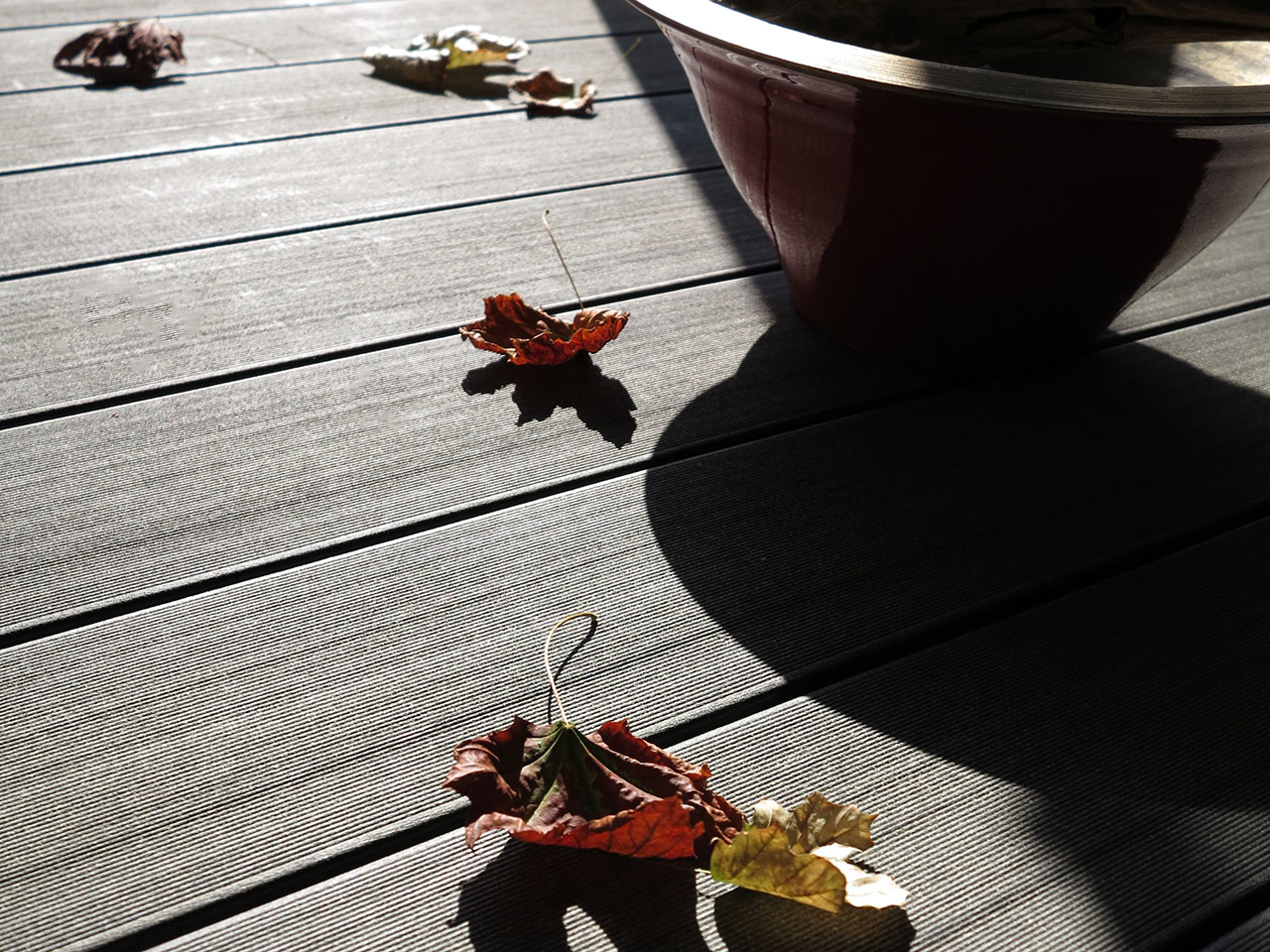 Wetterfeste WPC Balkondielen in anthrazit mit Herbstlaub auf den Dielen liegend