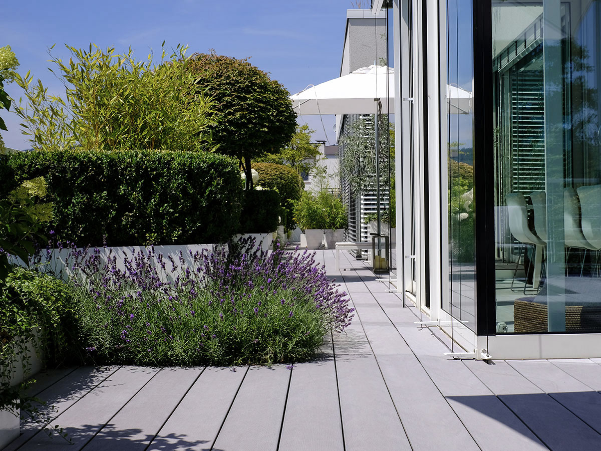 Luxus 43 F 252 R Pflanzen Sichtschutz Terrasse Plants Patio Garden