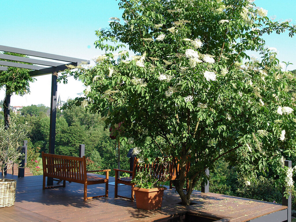 Dunkle WPC Terrassendielen auf mediterraner Terrasse mit integriertem Baum auf der Terrasse