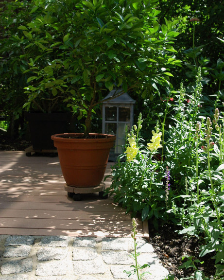 Ideen & Tipps zur Terrassengestaltung mit Pflanzen
